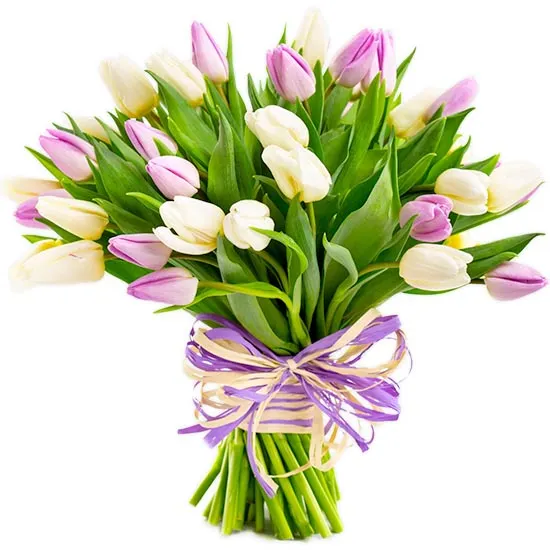 Tulipany na Dzień Kobiet