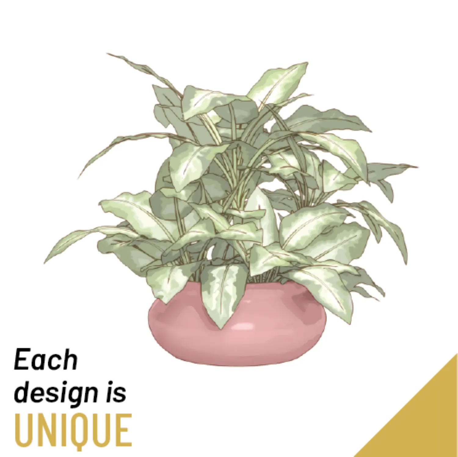 Single plant