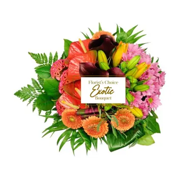 Exotica