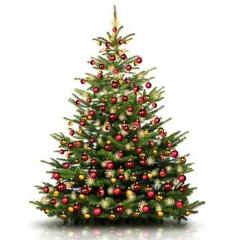 Decorated, natural Christmas tree.