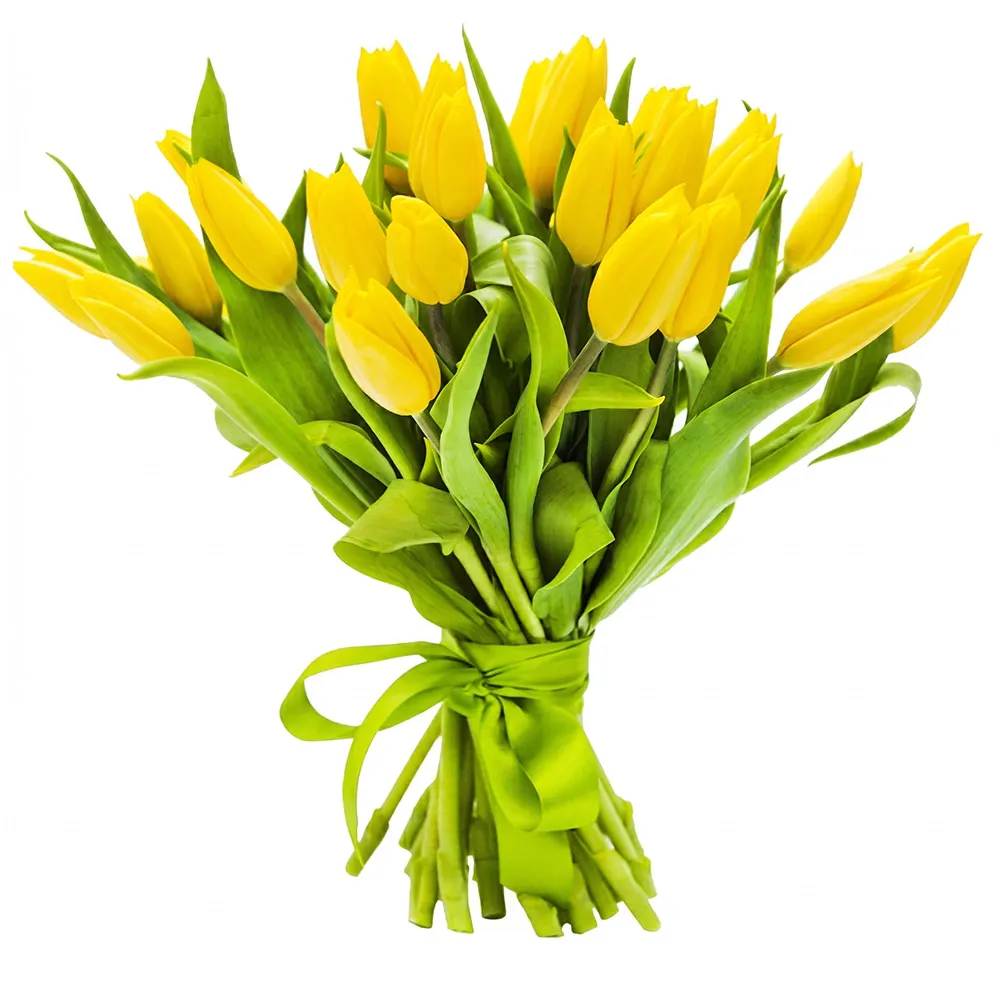 21 żółtych tulipanów