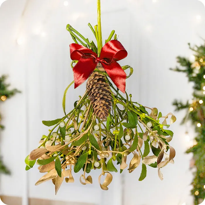 Mistletoe - Christmas decoration