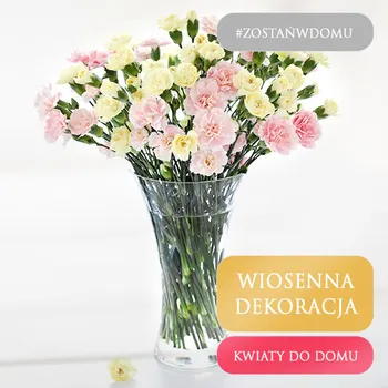 Flowers to your home - Carnations
