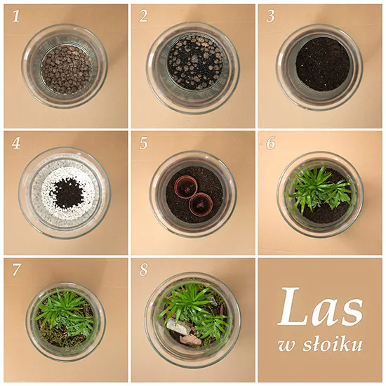 las_w_sloiku_dyi_zagajnik.jpg
