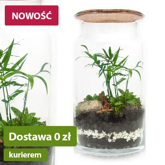 las_w_sloiku_dyi_zagajnik_1_etykietka.jpg