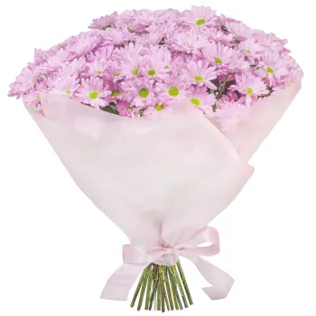 Bouquet of pink marguerite