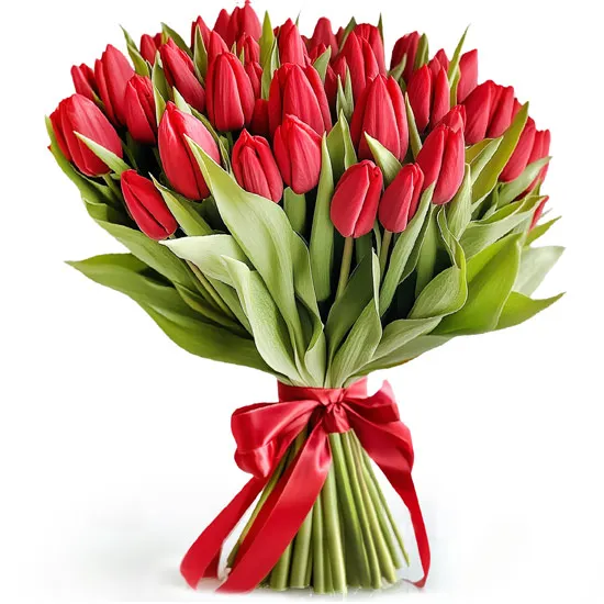 Miłosne tulipany